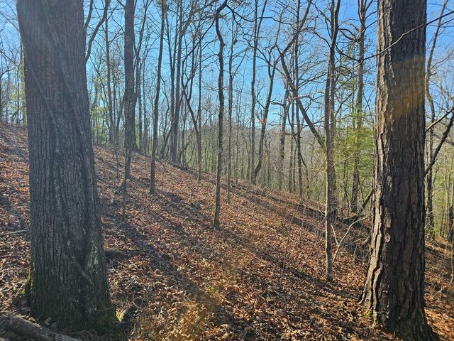 1.16 Marie Drive, Talking Rock, GA 30175