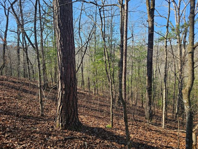 1.16 Marie Drive, Talking Rock, GA 30175