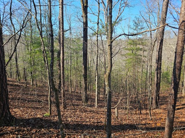 1.16 Marie Drive, Talking Rock, GA 30175