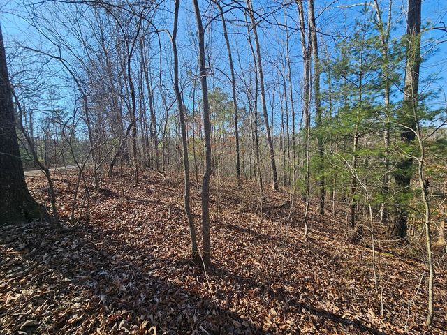 1.16 Marie Drive, Talking Rock, GA 30175