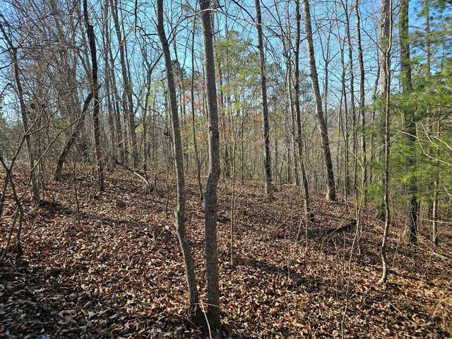 1.16 Marie Drive, Talking Rock, GA 30175