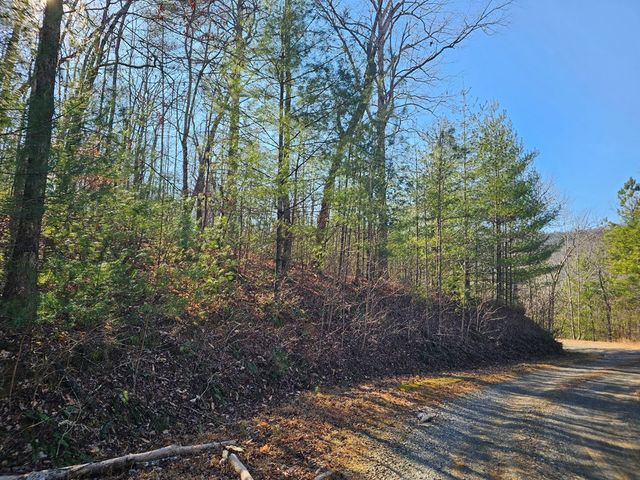 1.16 Marie Drive, Talking Rock, GA 30175