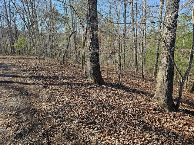 1.16 Marie Drive, Talking Rock, GA 30175