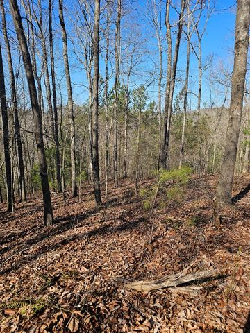 1.16 Marie Drive, Talking Rock, GA 30175