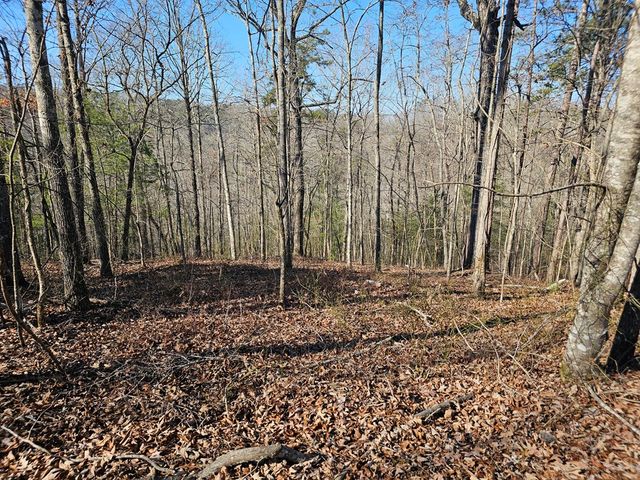 1.16 Marie Drive, Talking Rock, GA 30175