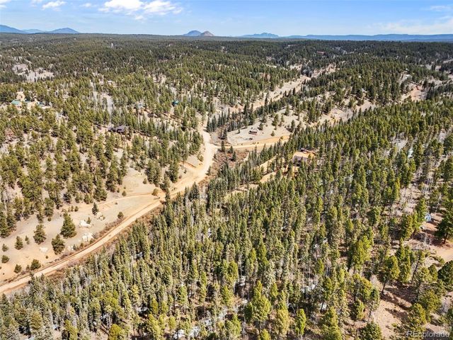 464 E Bison Creek Trail, Florissant, CO 80816