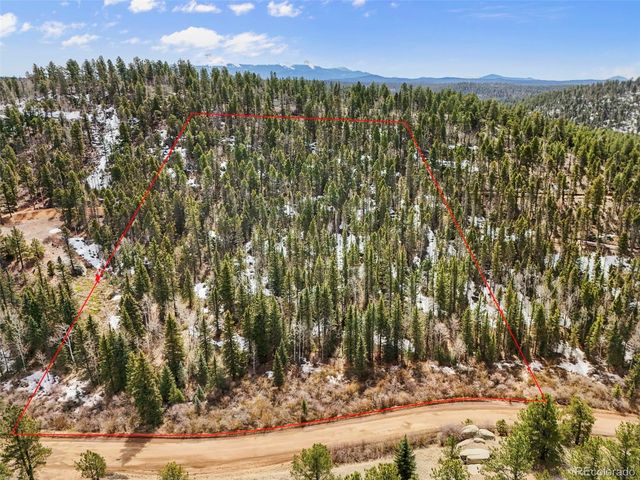 464 E Bison Creek Trail, Florissant, CO 80816
