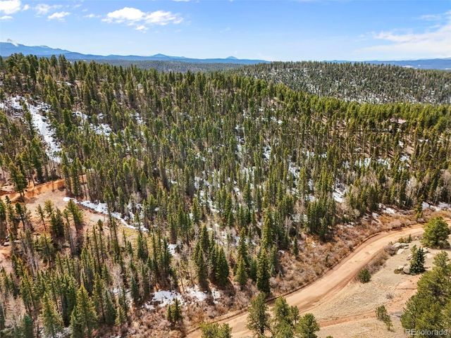 464 E Bison Creek Trail, Florissant, CO 80816