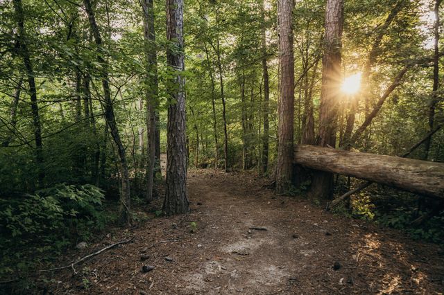 8017 Honeycomb Lane, Chattanooga, TN 37421