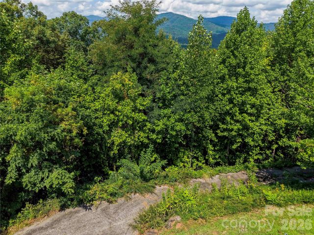 0 High Pines Loop 139 & 157, Lake Lure, NC 28746