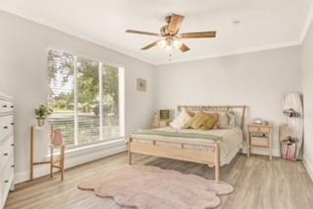 5421 Blue Haven Drive, Willis, TX 77318