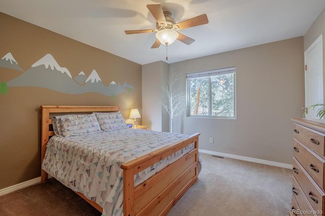 1505 Sunshine Circle, Woodland Park, CO 80863