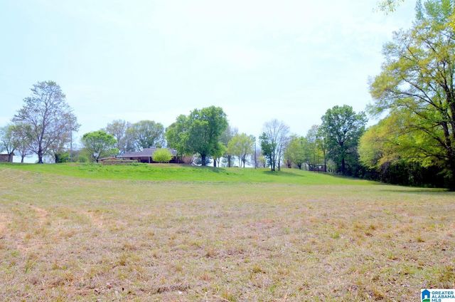 60 ROBERTSON ROAD, Wilsonville, AL 35186