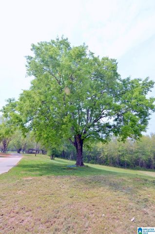 60 ROBERTSON ROAD, Wilsonville, AL 35186