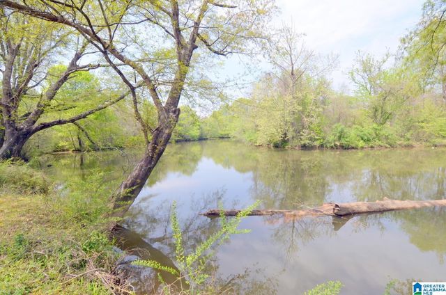 60 ROBERTSON ROAD, Wilsonville, AL 35186