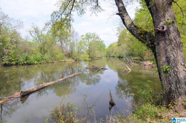 60 ROBERTSON ROAD, Wilsonville, AL 35186