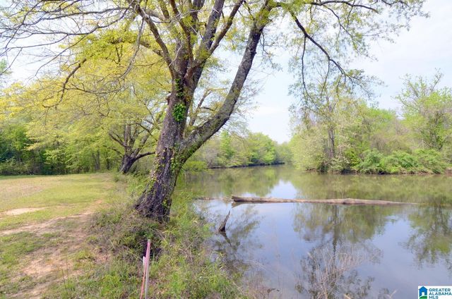 60 ROBERTSON ROAD, Wilsonville, AL 35186