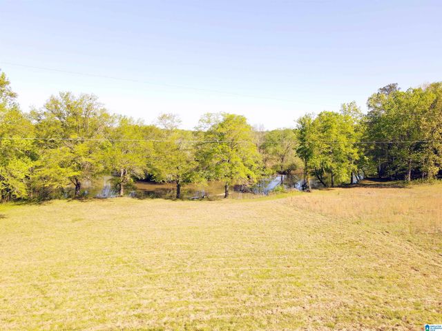 60 ROBERTSON ROAD, Wilsonville, AL 35186