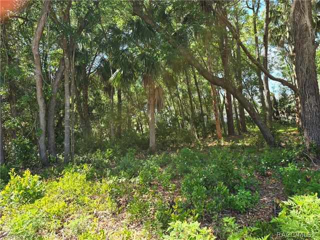 7075 W Crestview Lane, Crystal River, FL 34429
