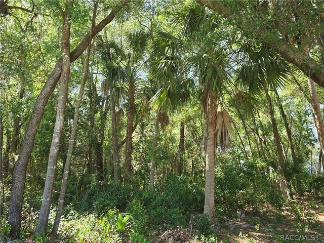 7075 W Crestview Lane, Crystal River, FL 34429