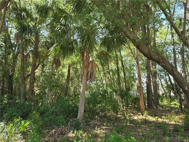 7075 W Crestview Lane, Crystal River, FL 34429