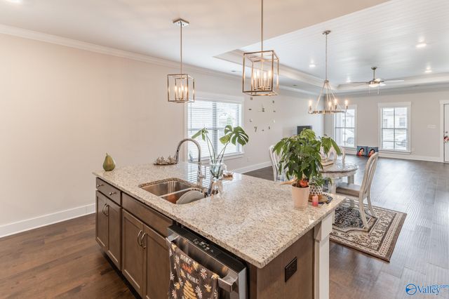 29931 NW Copperpenny Drive, Harvest, AL 35749