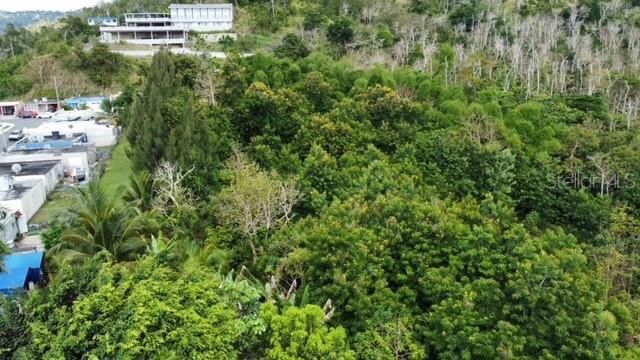 784 PR-784 ROAD, Caguas, PR 00725