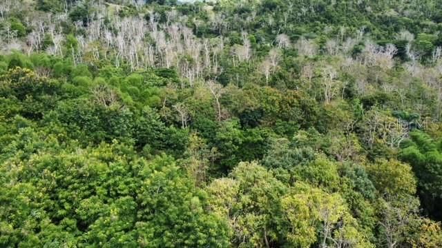 784 PR-784 ROAD, Caguas, PR 00725