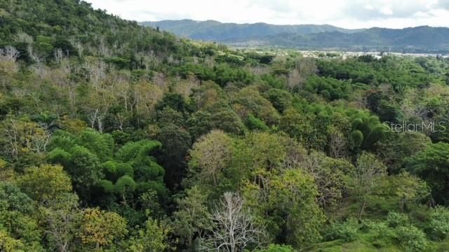 784 PR-784 ROAD, Caguas, PR 00725