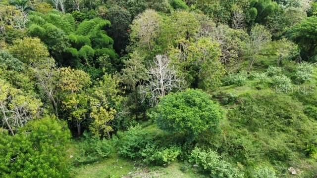 784 PR-784 ROAD, Caguas, PR 00725