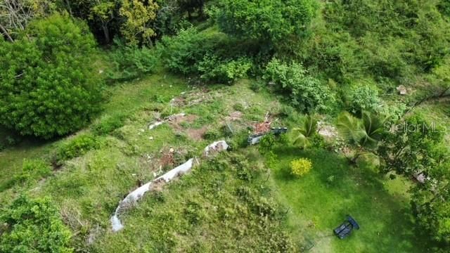 784 PR-784 ROAD, Caguas, PR 00725