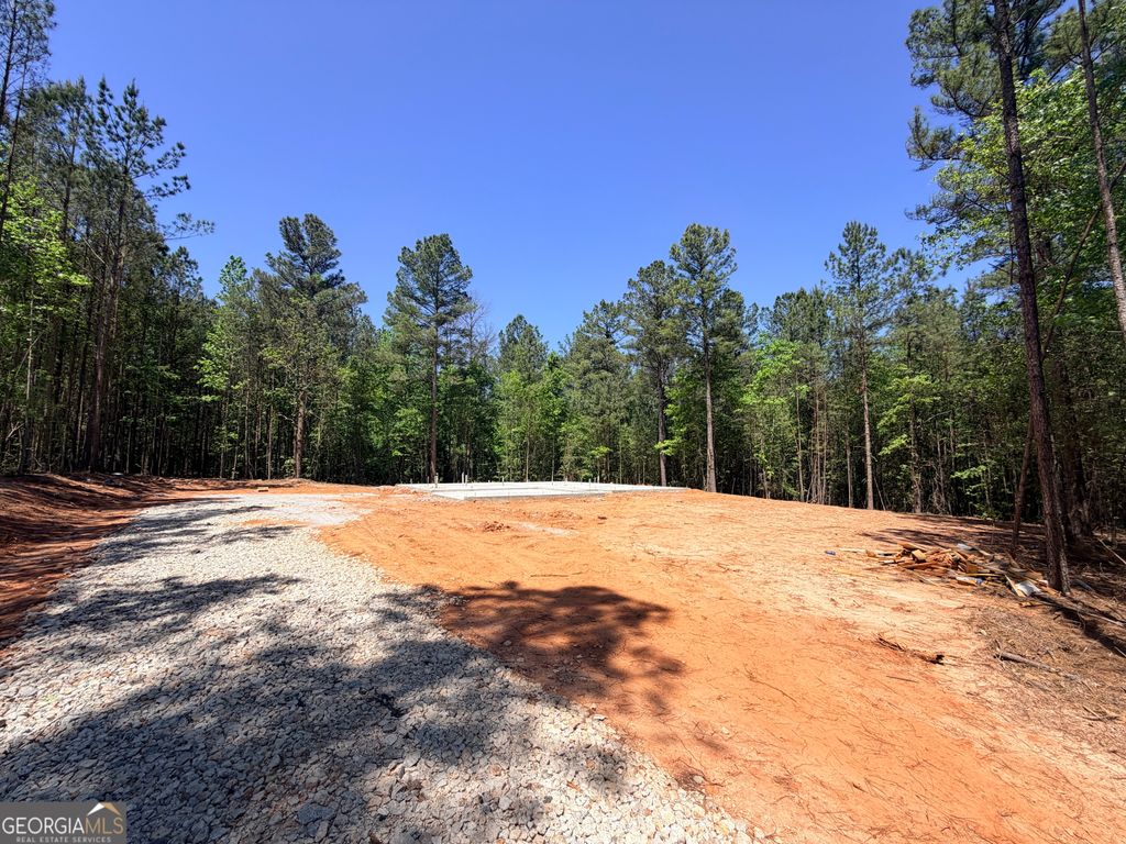 167 Pioneer Trail LOT 29, Hogansville, GA 30230