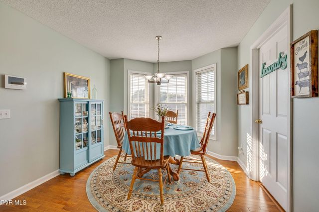 106 Violet Lane, Bluff City, TN 37618