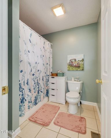 106 Violet Lane, Bluff City, TN 37618