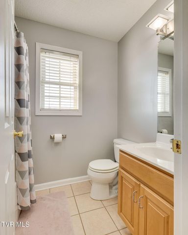 106 Violet Lane, Bluff City, TN 37618