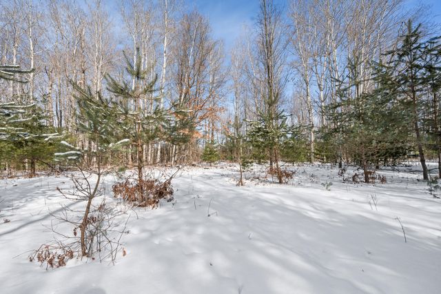 22132 15th Ave, Sears, MI 49679