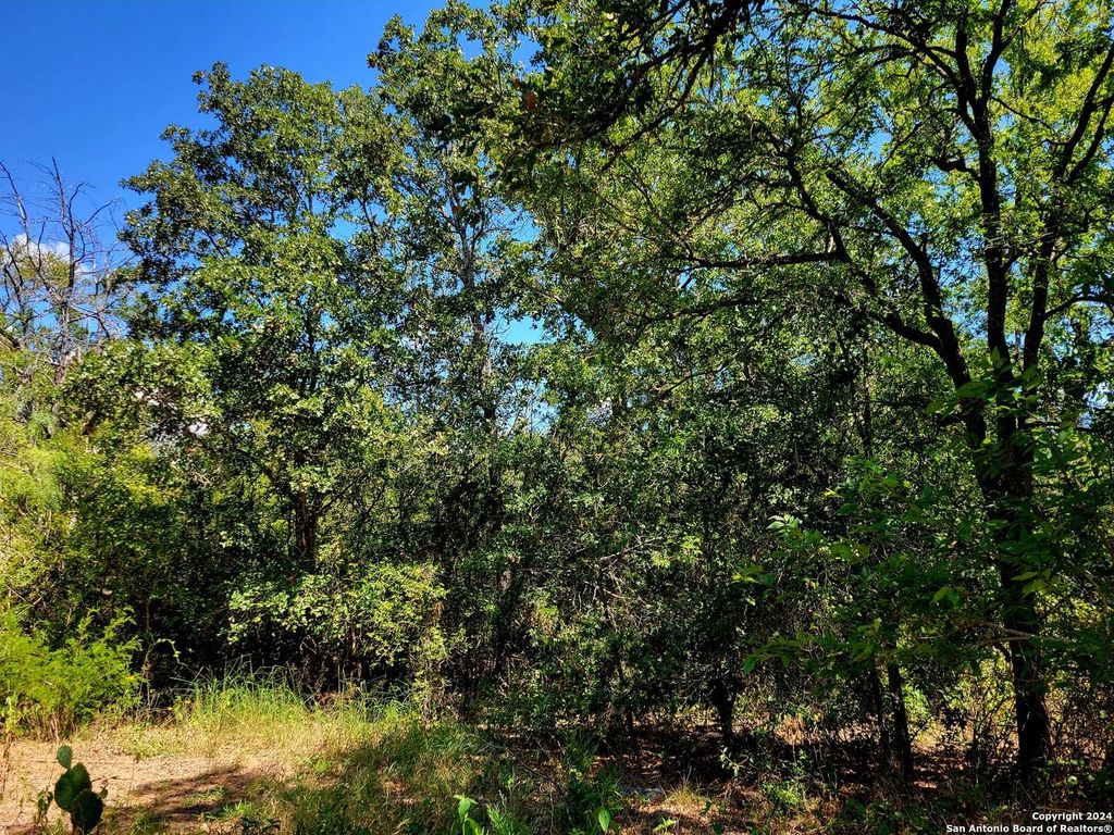 tbd Dale LN, Dale, TX 78616