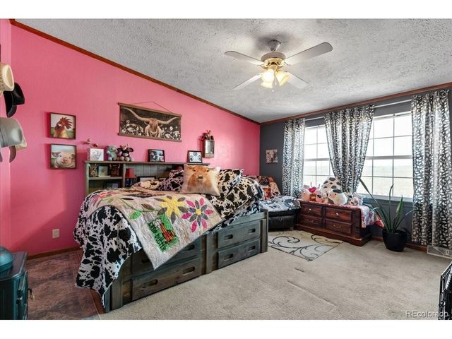 57048 County Road 21, Carr, CO 80612