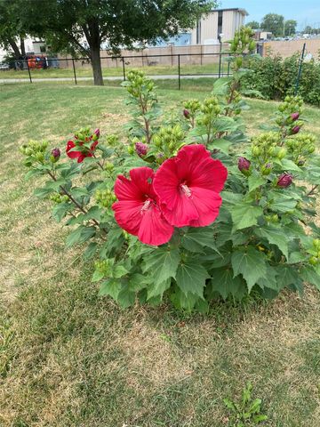 604 SE Tower Court, Ankeny, IA 50021