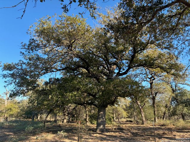 483 BATEY RD, Seguin, TX 78155