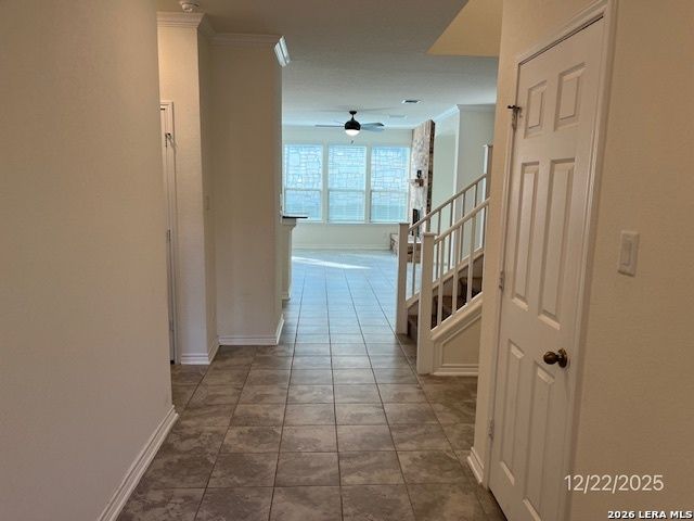 29917 Sestra, Bulverde, TX 78163