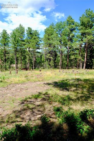 19953 Vista Clara Lane, Monument, CO 80132