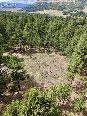 19953 Vista Clara Lane, Monument, CO 80132