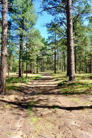 19953 Vista Clara Lane, Monument, CO 80132