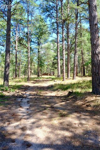 19953 Vista Clara Lane, Monument, CO 80132