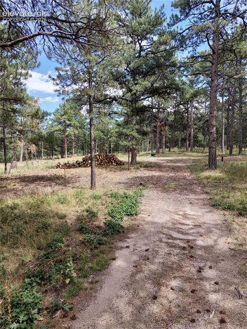19953 Vista Clara Lane, Monument, CO 80132