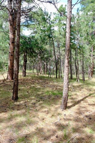19953 Vista Clara Lane, Monument, CO 80132