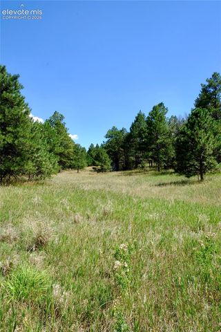 19953 Vista Clara Lane, Monument, CO 80132