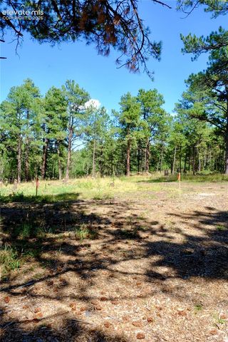 19953 Vista Clara Lane, Monument, CO 80132