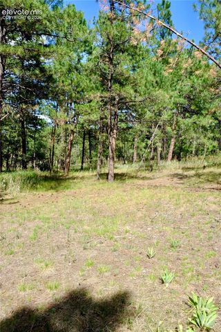 19953 Vista Clara Lane, Monument, CO 80132